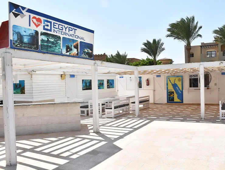 Egypt International Diving